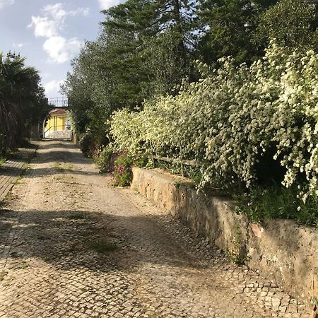 Quinta Dos Canais Setúbal Eksteriør billede