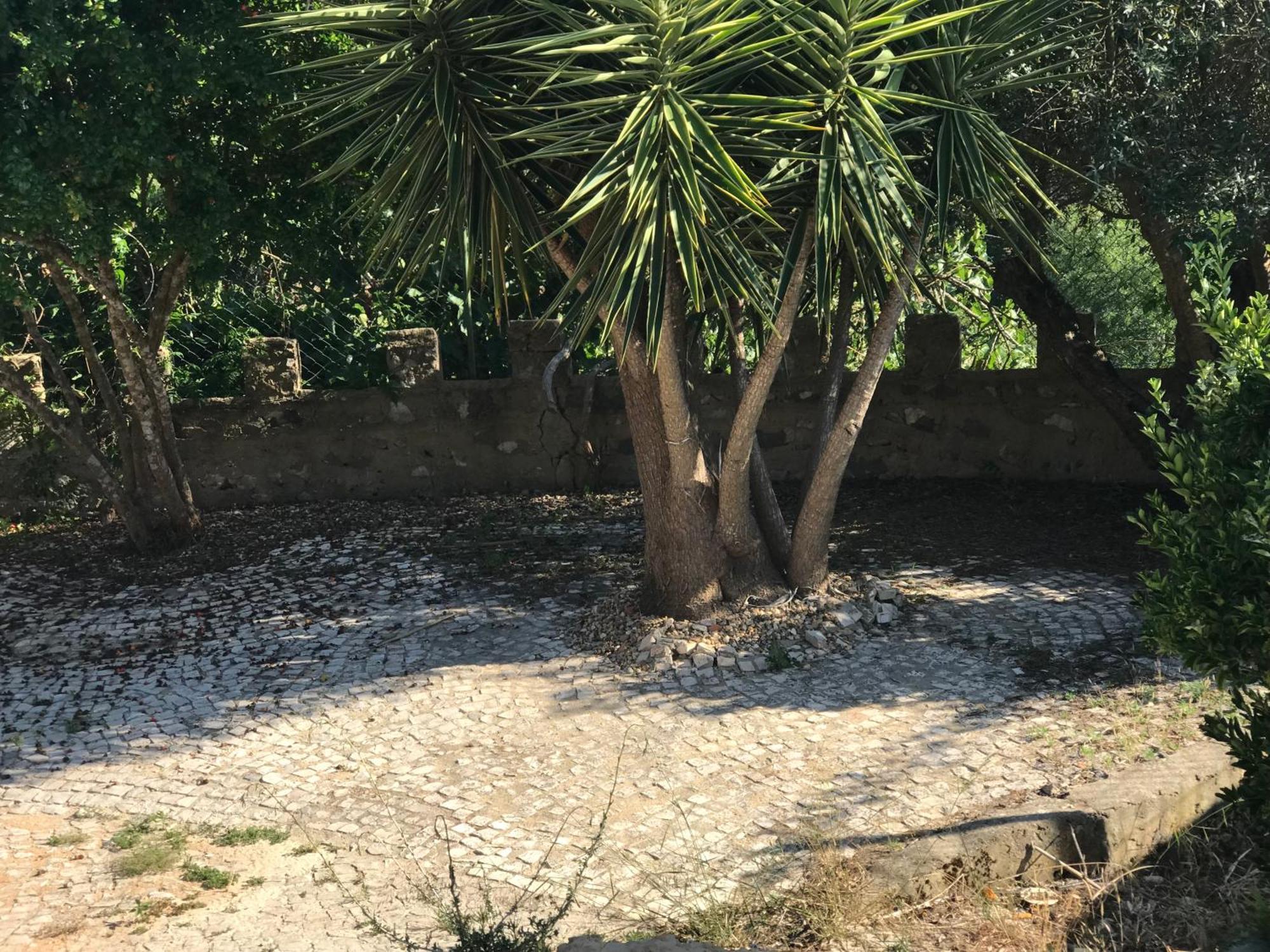 Quinta Dos Canais Setúbal Eksteriør billede