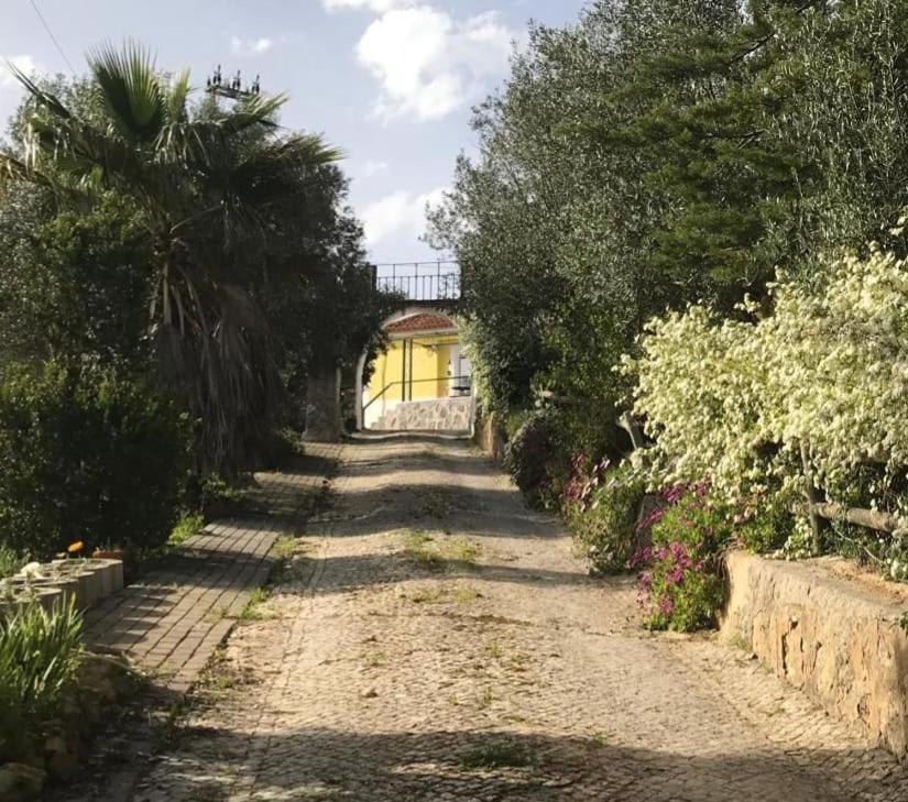 Quinta Dos Canais Setúbal Eksteriør billede