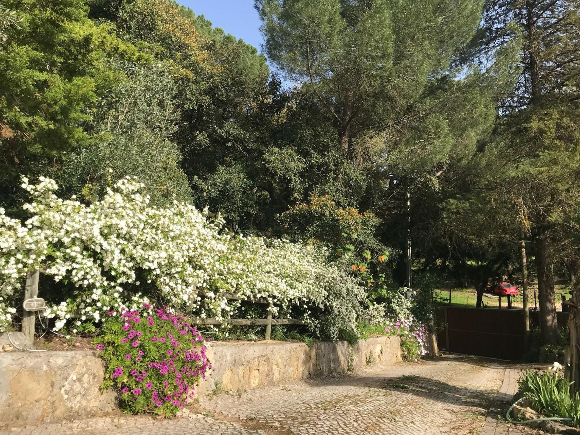 Quinta Dos Canais Setúbal Eksteriør billede