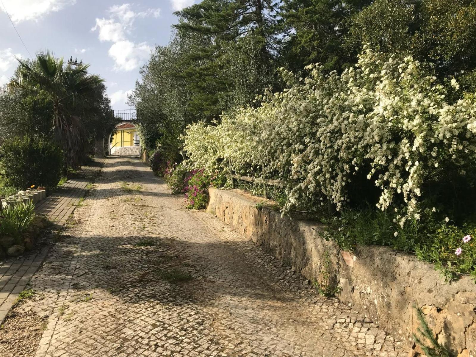 Quinta Dos Canais Setúbal Eksteriør billede