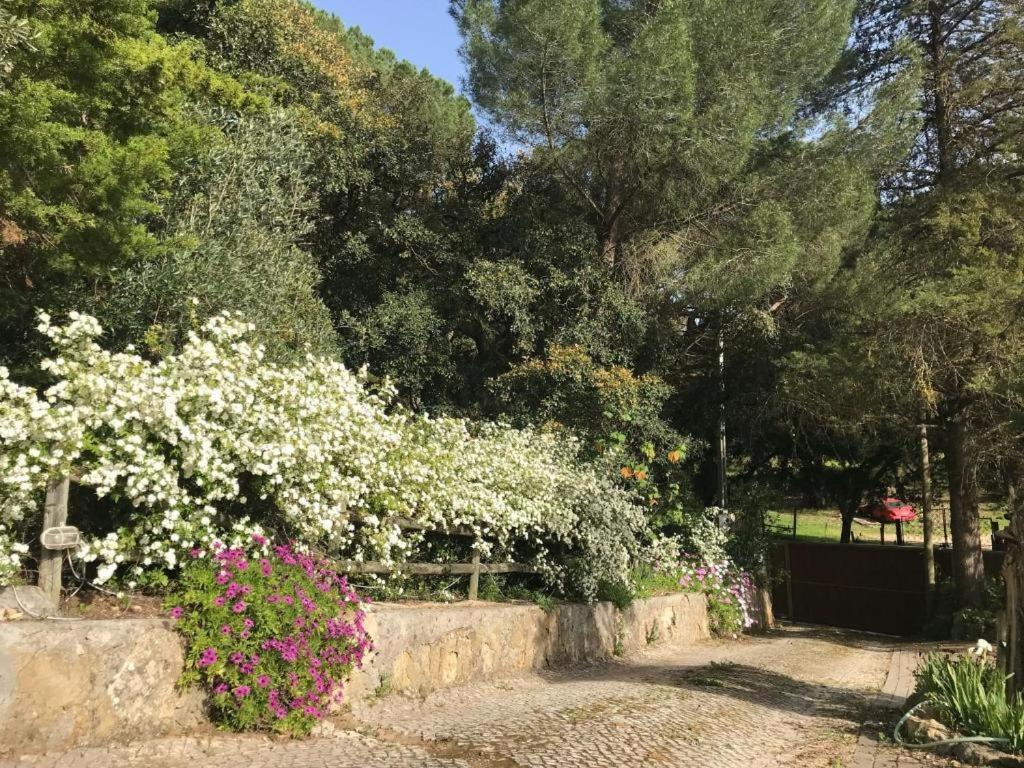 Quinta Dos Canais Setúbal Eksteriør billede